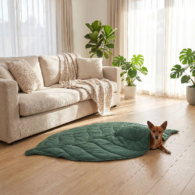 Tapis XXL pour chien DogExtra gris salon brun chien