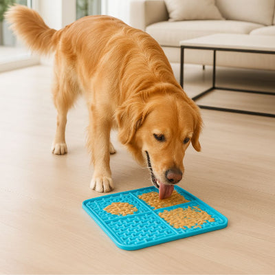 Tapis de fouille chien DogDig bleu brun debout chien
