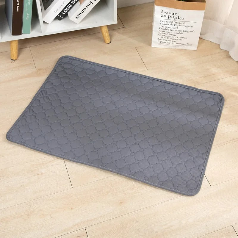 Tapis-pour-Chien-tapis-Gris