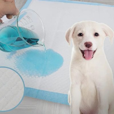 Tapis pour chien AbsorLayer couche blanc, chien