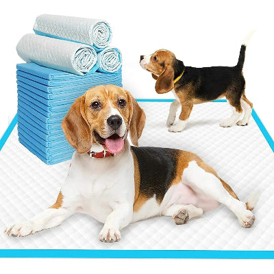 Tapis pour chien AbsorLayer couche blanc noir chien