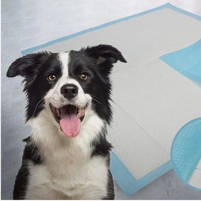 Tapis pour chien AbsorLayer couche noir blanc chien