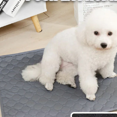 Tapis pour chien MatsRessForDogs gris pâle blanc chien