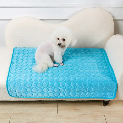 Tapis pour chien Rafraichissant DogMat chien bleu chien
