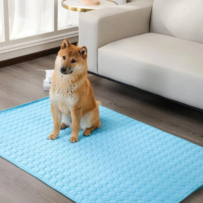 Tapis pour chien Rafraichissant DogMat chien brun chien