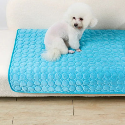 Tapis pour chien Rafraichissant DogMat petit chien bleu chien