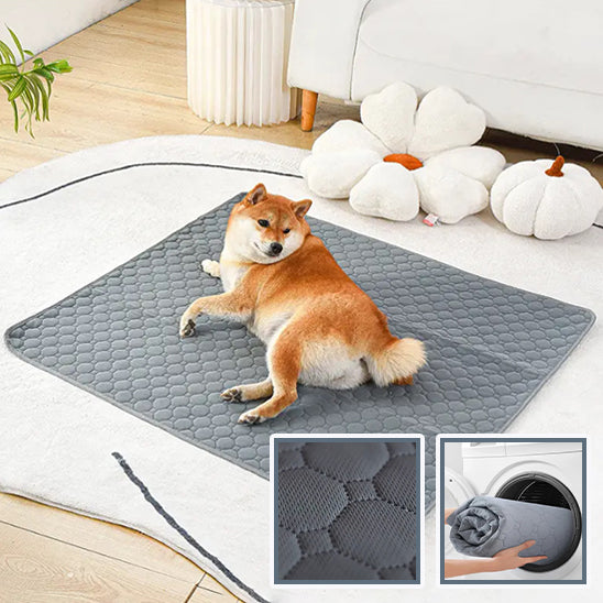 Tapis-pour-chien-chien-dessus