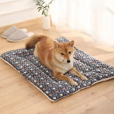 Tapis pour chien rafraichissant CoolingDog bleu star chien