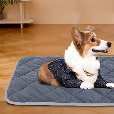Tapis pour chien rafraichissant DogCarpet blanc brun chien