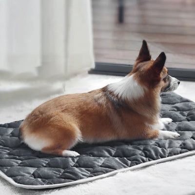 Tapis pour chien rafraichissant DogCarpet coucher brun chien