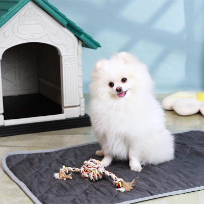 Tapis pour chien rafraichissant DogCarpet tapis assis blanc chien
