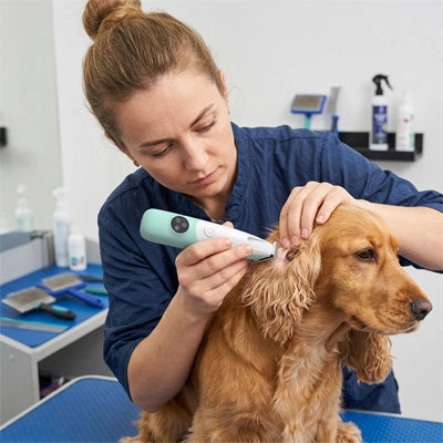 Tondeuse chien DogBrushQuiet vert oreille chien