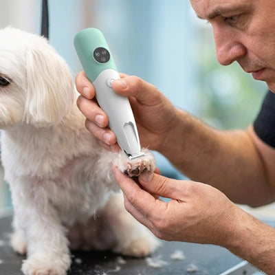 Tondeuse chien DogBrushQuiet vert patte chien