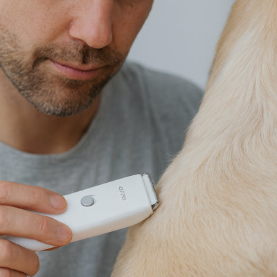 Tondeuse chien PowerfulQuiet blanc assis chien