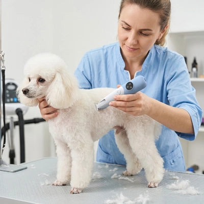 Tondeuse chien ProfessionalNoiseFree bleu debout blanc chien
