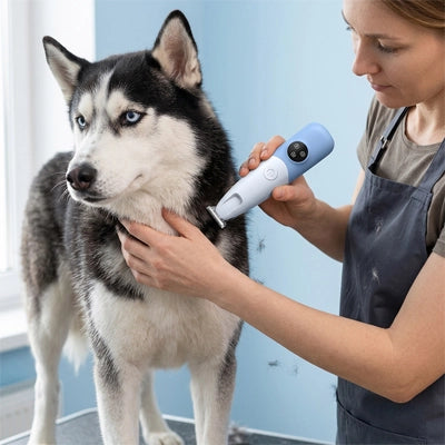 Tondeuse chien ProfessionalNoiseFree bleu debout noir chien