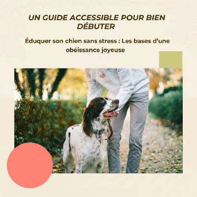 Un guide accessible pour bien débuter, merci