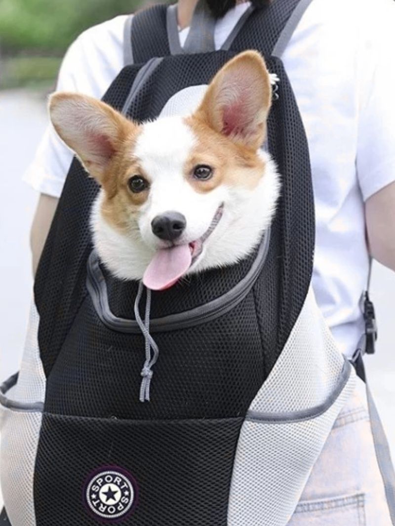 BackpackDog™ - Sac à dos pour votre chien - Chien trop content