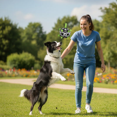 Balle pour chien PetToyLarge noir saute attrapé chien