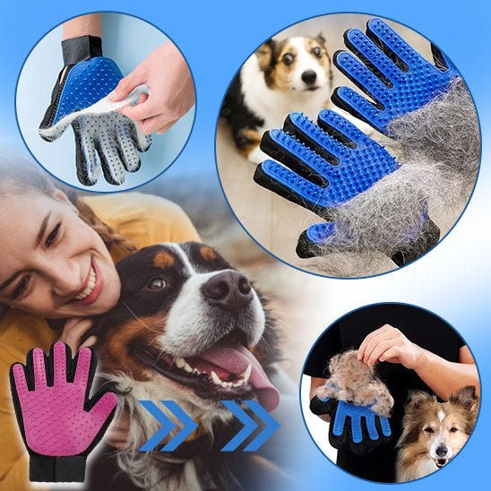 brosse-chien-dog-chien-beaucoup-poil