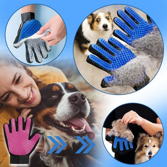 brosse-chien-dog-chien-beaucoup-poil
