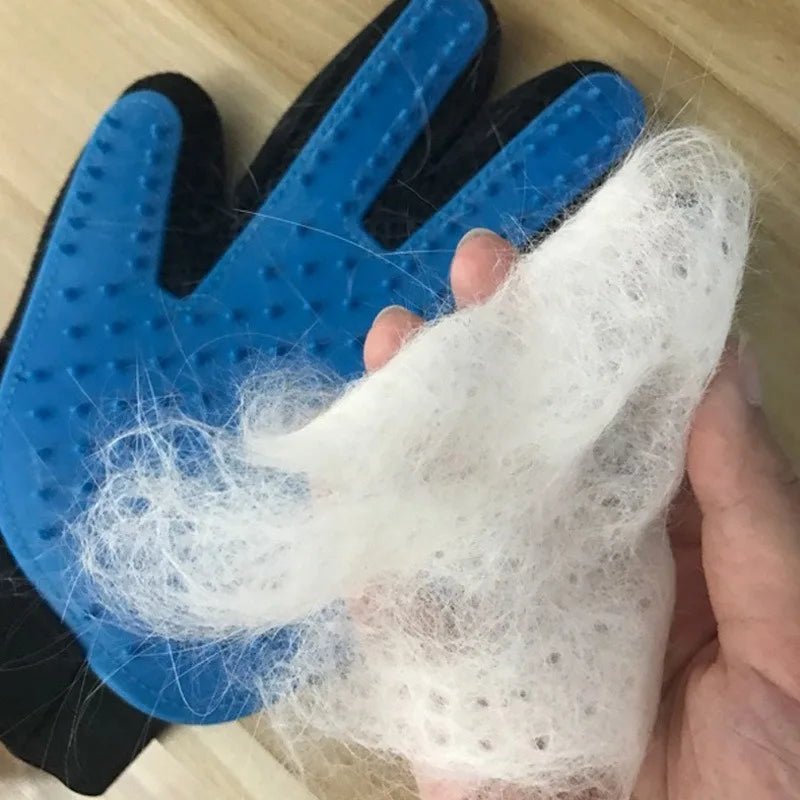 brosse-chien-dog-chien-bleu