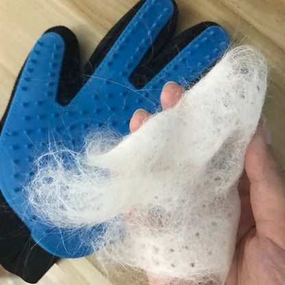 brosse-chien-dog-chien-bleu