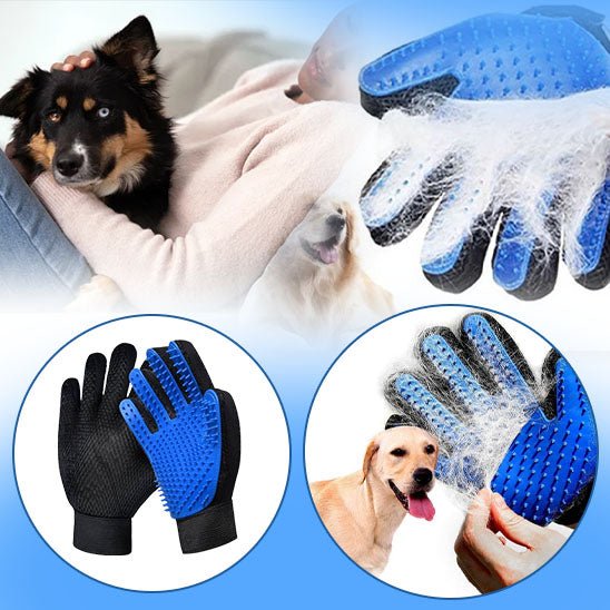 brosse-chien-dog-chien-noir