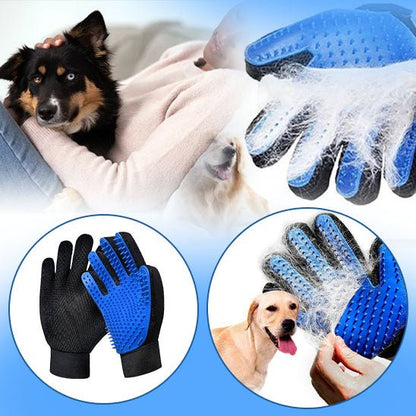 brosse-chien-dog-chien-noir