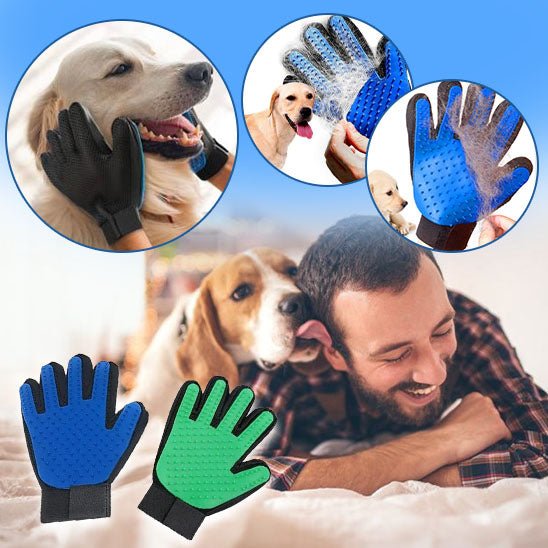brosse-chien-dog-chien-vert-bleu