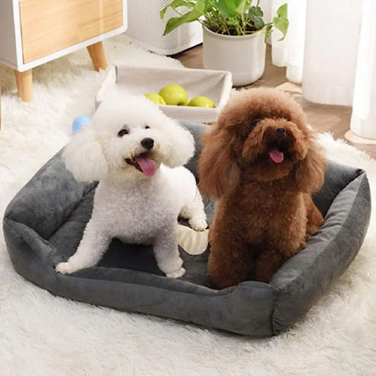 canape-pour-chien-beddog-gris-blanc-brun-chien