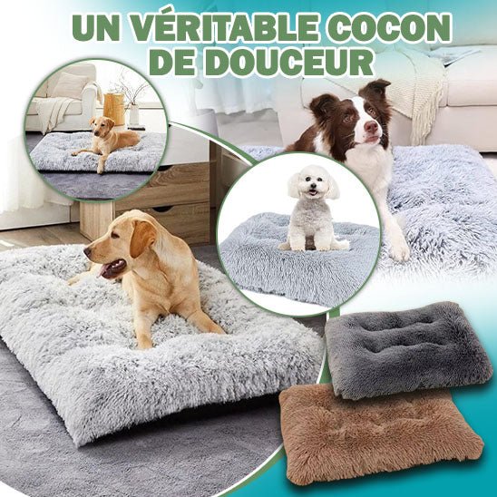 Canape pour Chien Ultime - Chien trop content