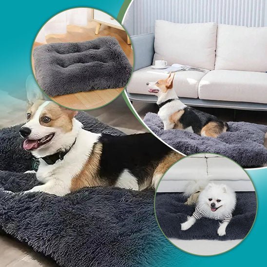 canape-pour-chien-ultime-canapedog-gris-trois-chiens