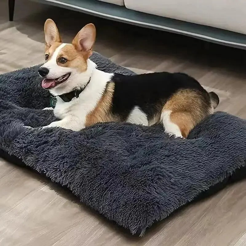 canape-pour-chien-ultime-canapedog-noir-multicolore