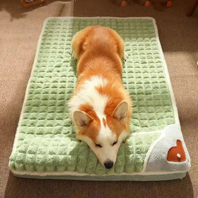 canape-pour-chien-xxl-de-luxe-sofa-coucher-seul-vert