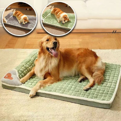 canape-pour-chien-xxl-de-luxe-sofa-coucher-vert