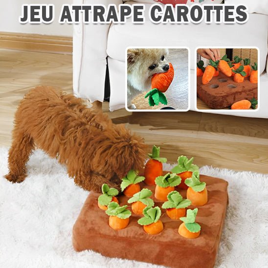 Carottes à Renifler pour Chiens - Snuffle™ - Chien trop content