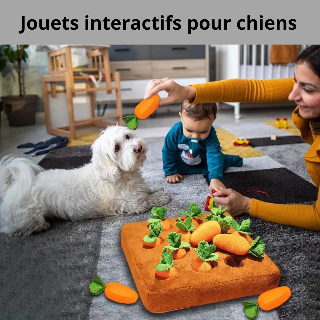 Carottes à Renifler pour Chiens - Snuffle™ - Chien trop content