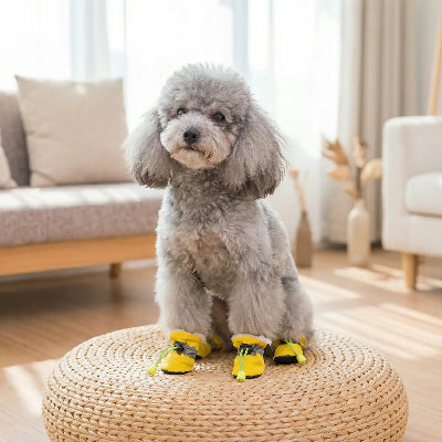 Chaussure chien DagShaes jaune, gris chien