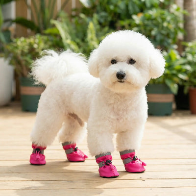 Chaussure chien DagShaes rose blanc chien