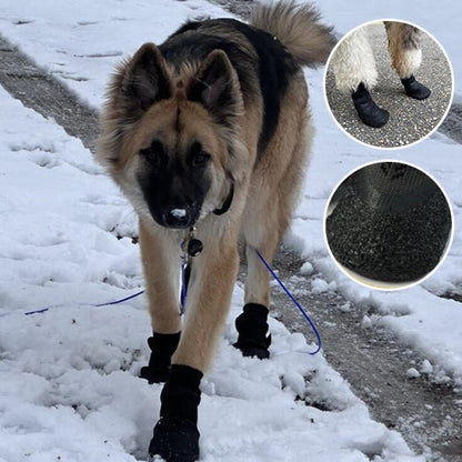 chaussure-chien-dogshoe-chaussure-noir-marche-chien