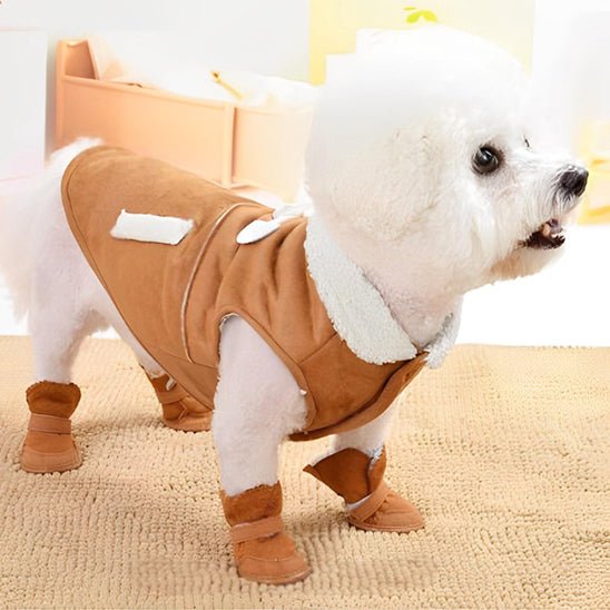 chaussure-chien-shoesdog-chien-brun