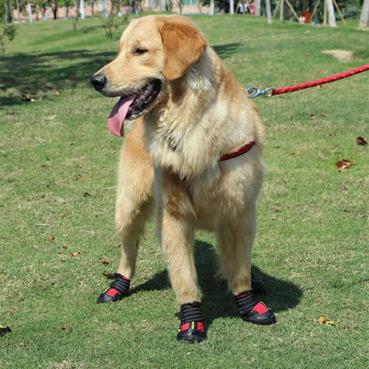 chaussure-pour-chien-for-chien-rouge-noir