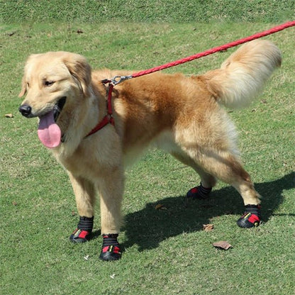 chaussure-pour-chien-for-chien-rouge