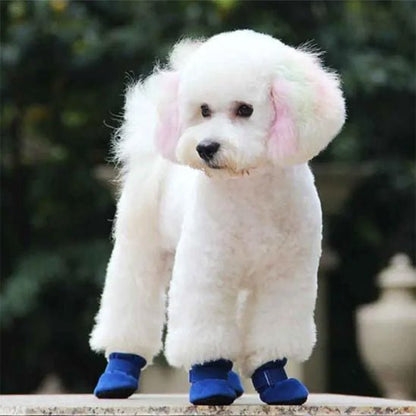 chaussures-pour-chien-dogsfor-chien-bleu