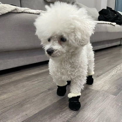 chaussures-pour-chien-dogsfor-chien-noir