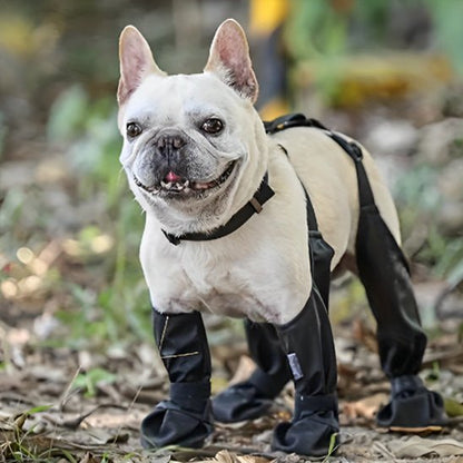 chaussures-pour-chien-fordogs-chien-blanc-noir