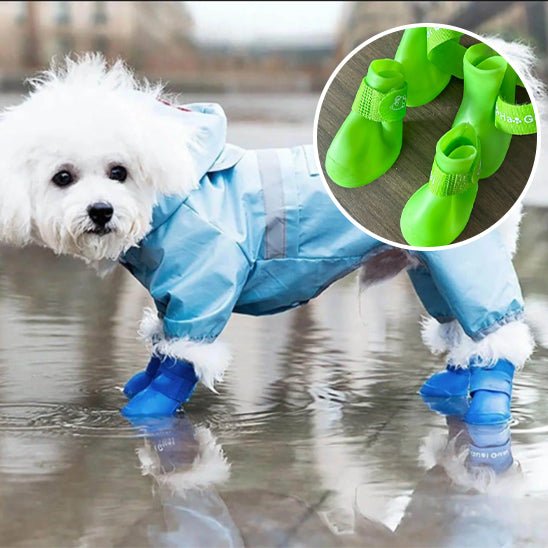 chaussures-pour-chien-shoesfor-chien-bleu-blanc