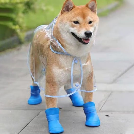 chaussures-pour-chien-shoesfor-chien-bleu-brun