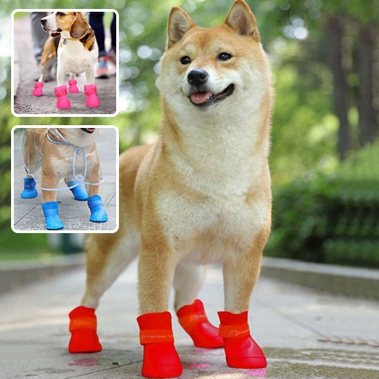 chaussures-pour-chien-shoesfor-chien-rouge-rose-bleu